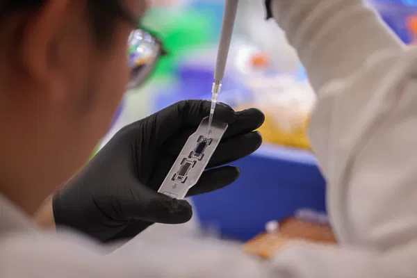 A person wearing black gloves uses a pipette to add liquid to a small transparent device in a laboratory setting.